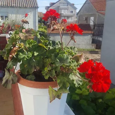 Guest house Soba Za Odmor Nika